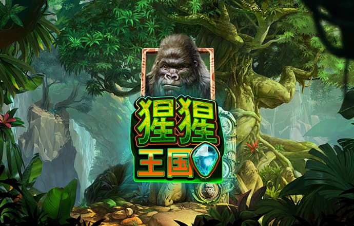 c7官方网站入口在哪里
